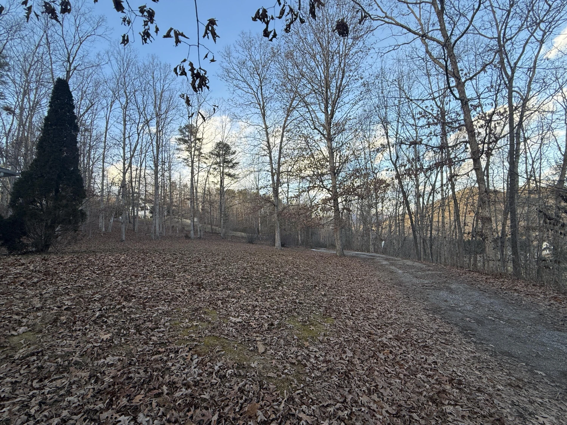 4218 Nicelytown Rd - Photo 45