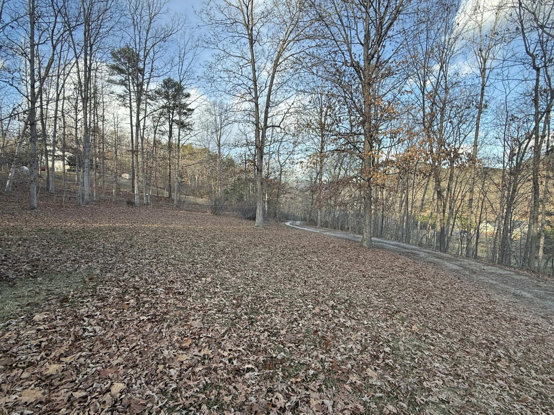 4218 Nicelytown Rd - Photo 47