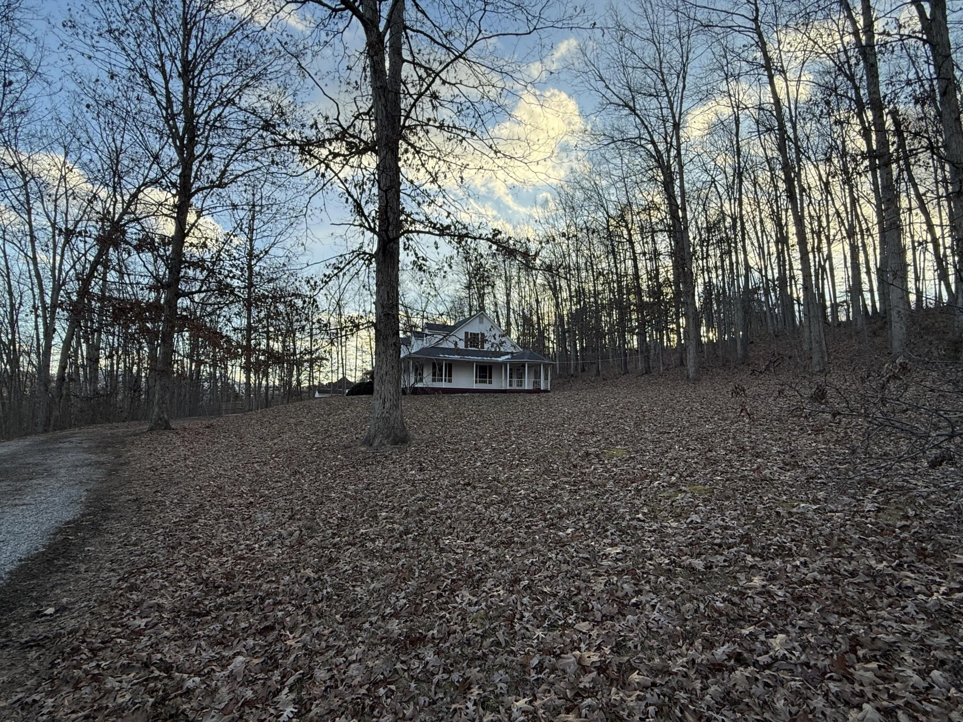 4218 Nicelytown Rd - Photo 48