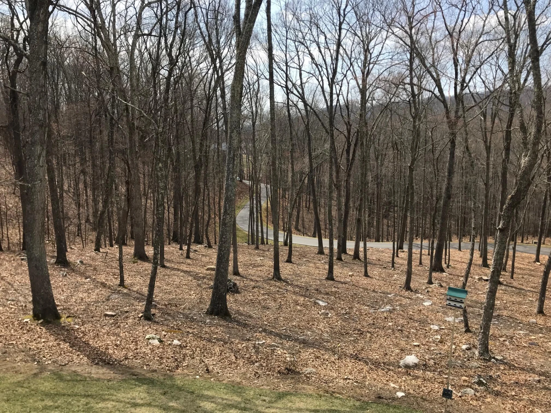 100 Old Camp Ln - Photo 4
