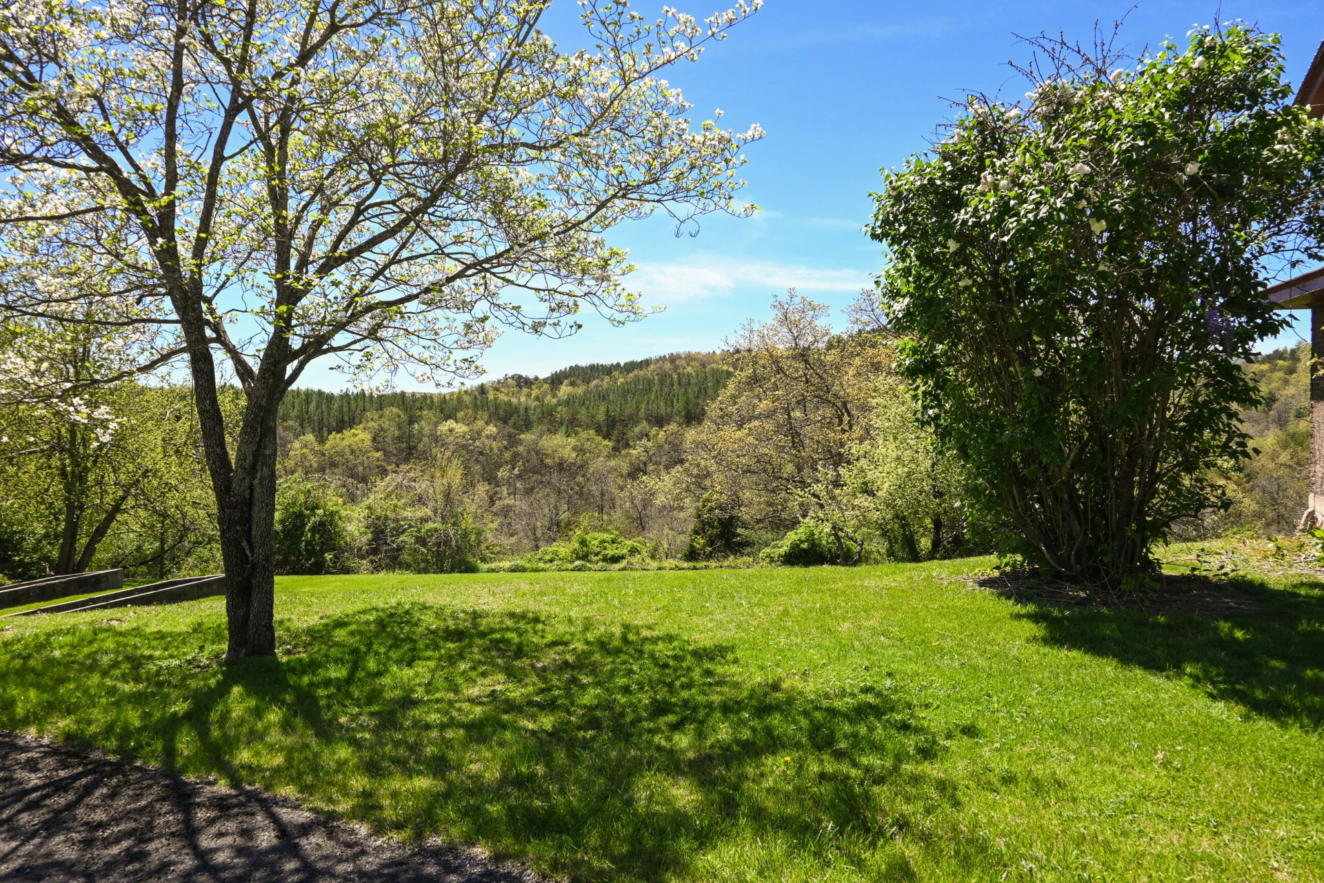 575 Luke Mountain Rd - Photo 12