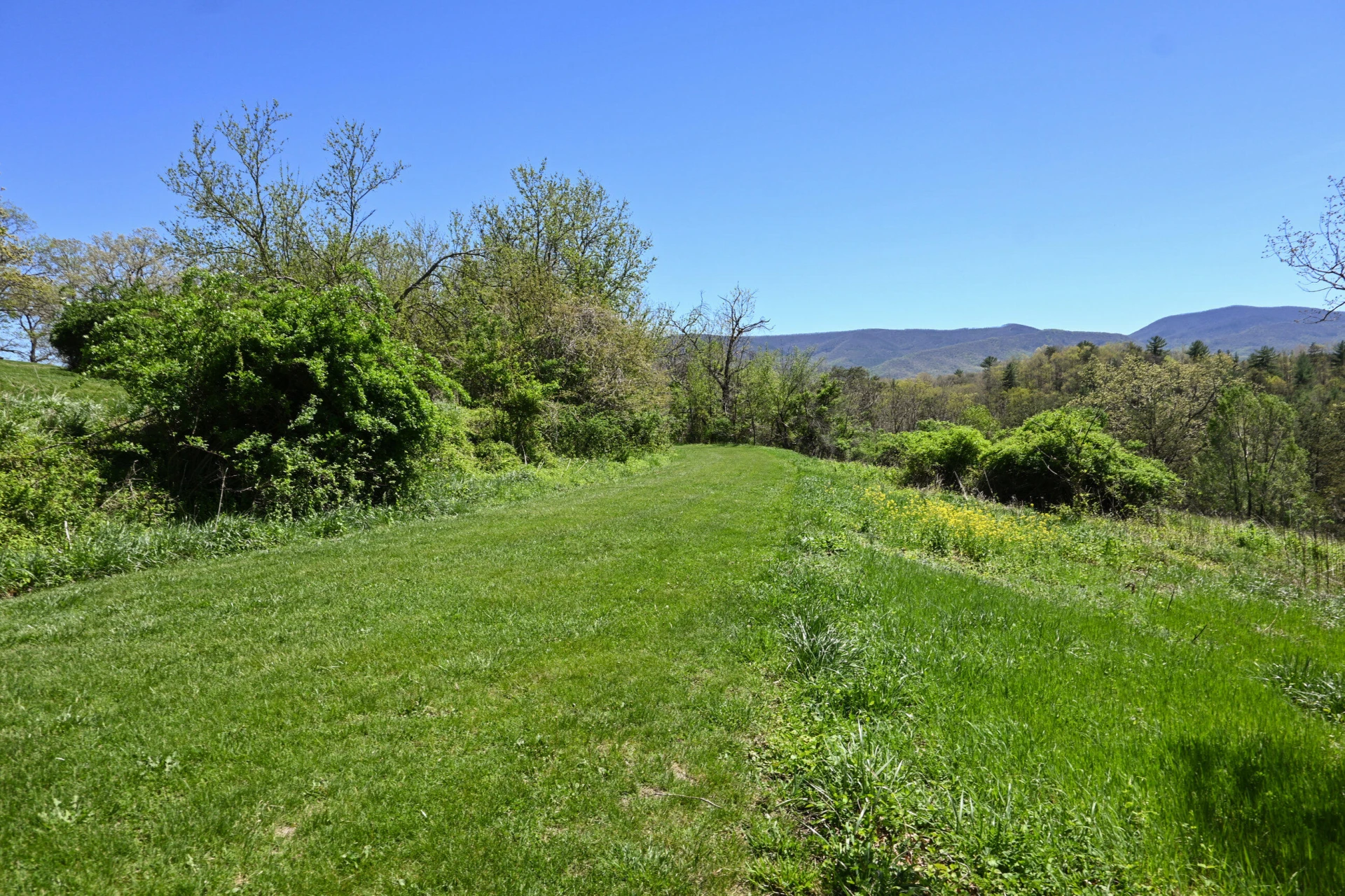 575 Luke Mountain Rd - Photo 14
