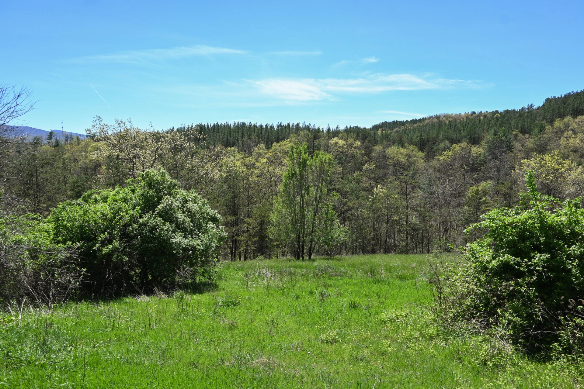 575 Luke Mountain Rd - Photo 16