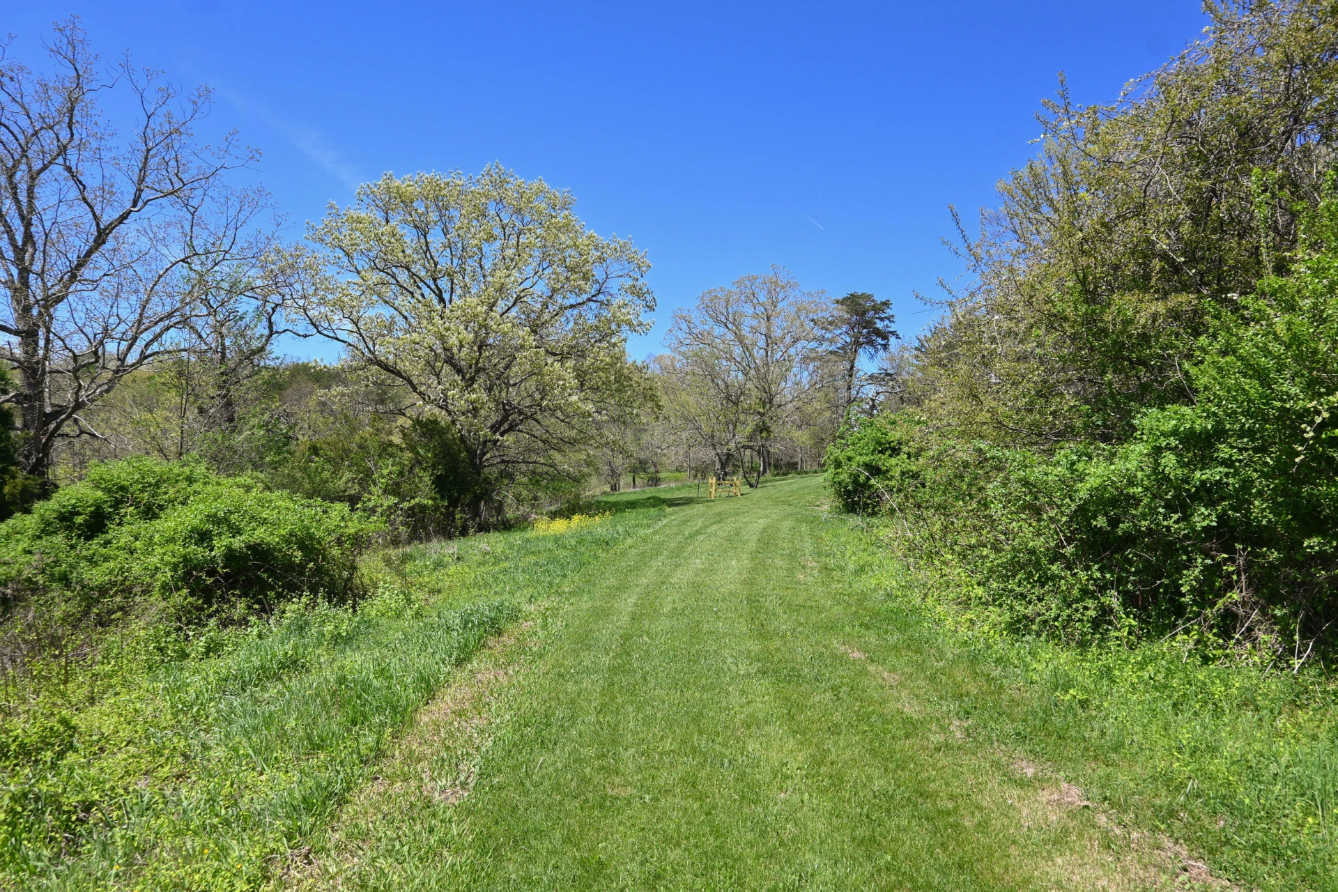 575 Luke Mountain Rd - Photo 17
