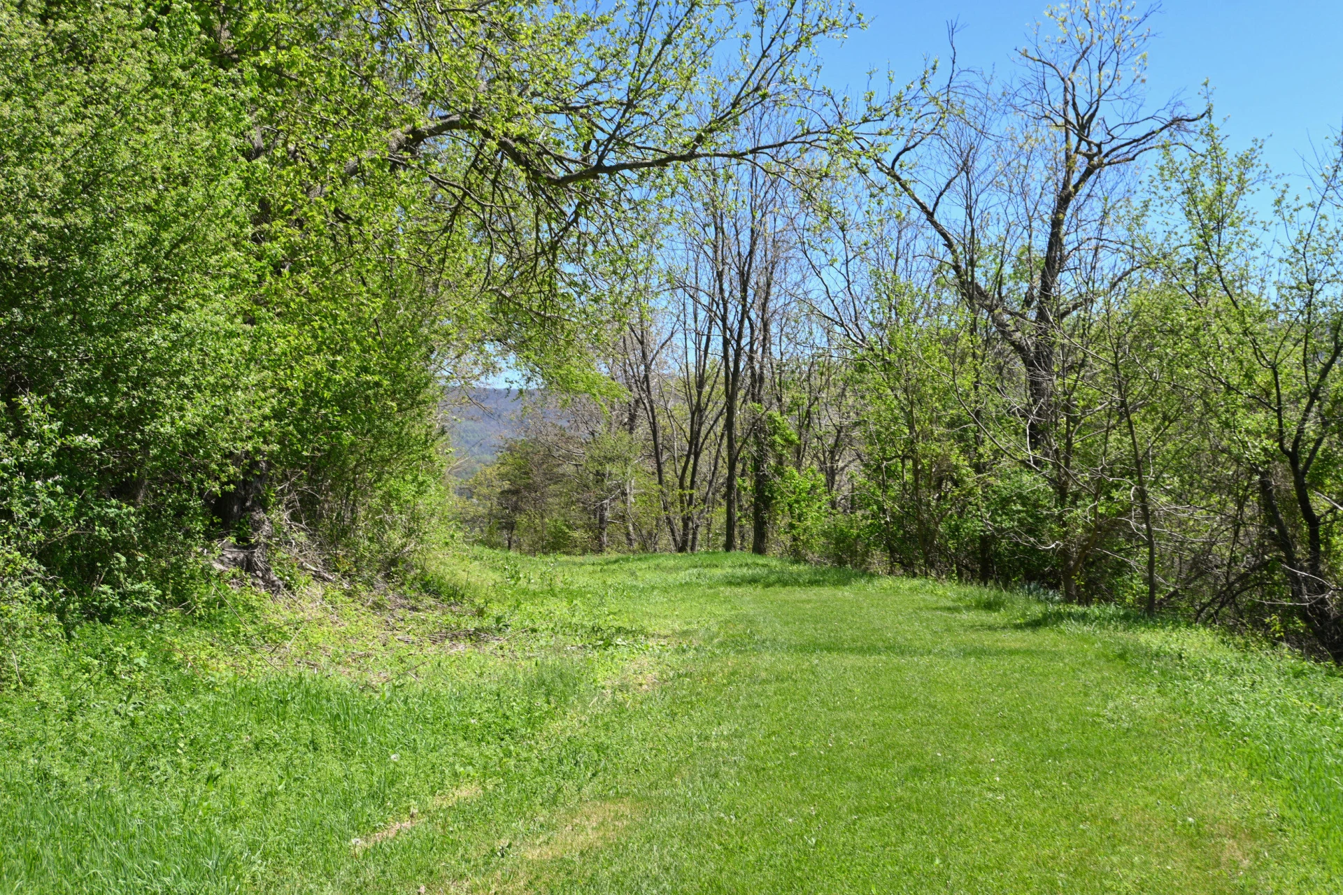 575 Luke Mountain Rd - Photo 31