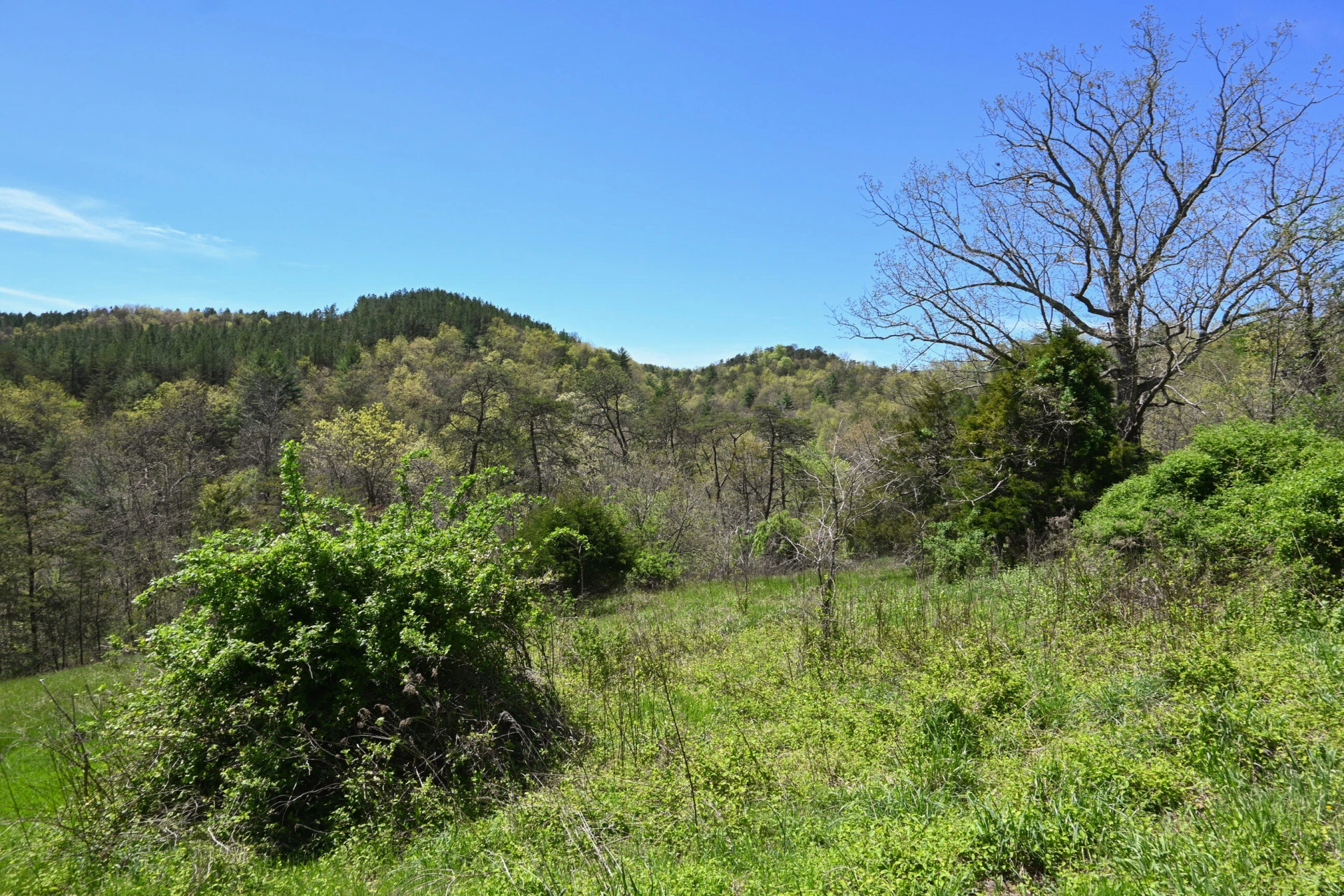 575 Luke Mountain Rd - Photo 32