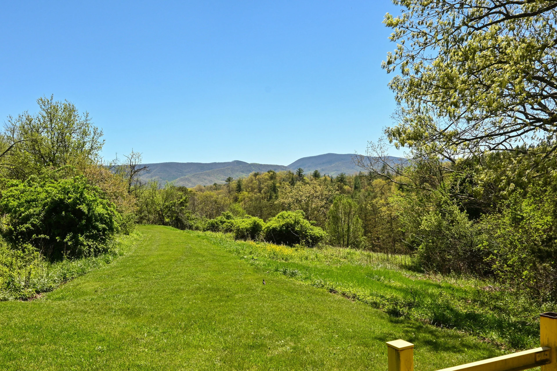 575 Luke Mountain Rd - Photo 5