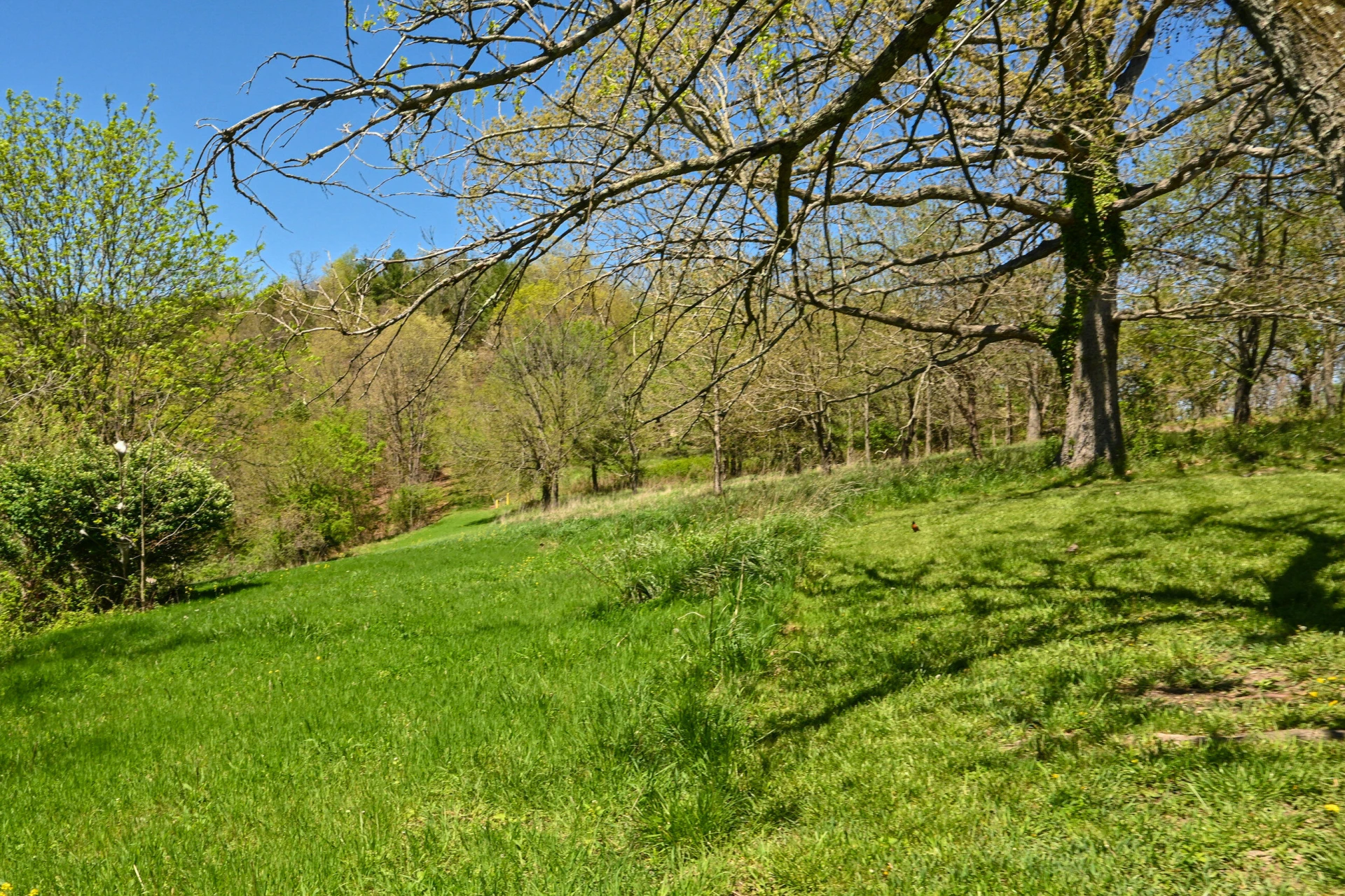 575 Luke Mountain Rd - Photo 7