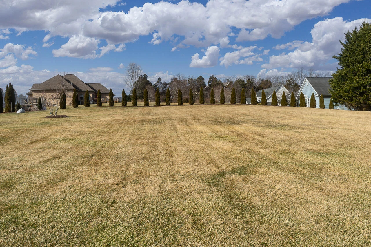 .50 ac.- HERITAGE Dr - Photo 8