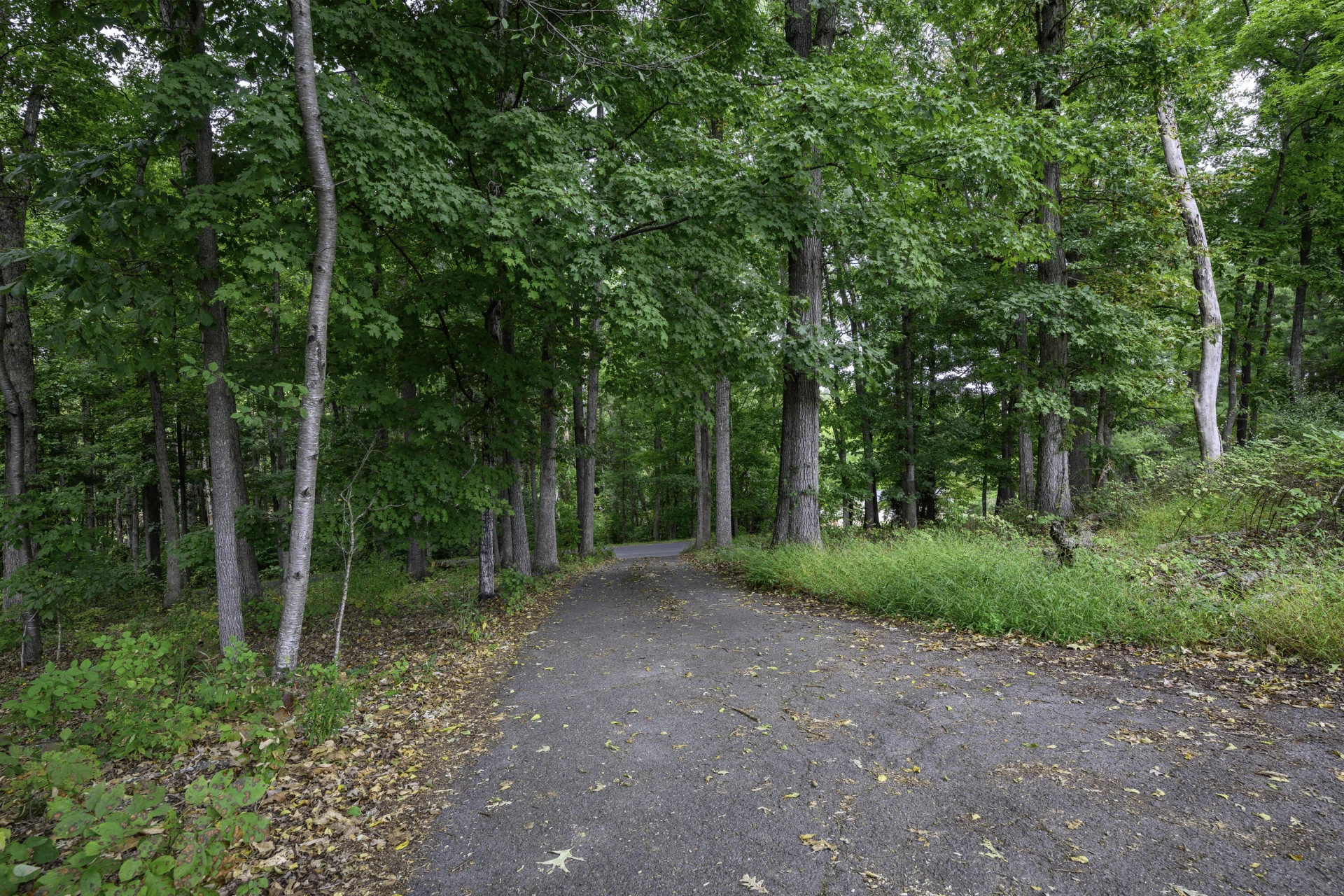 587 Bunker Hill Mill Rd - Photo 11