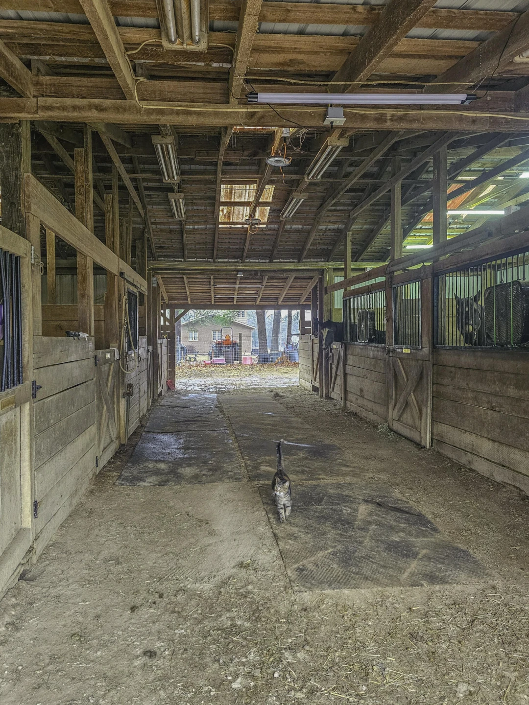 587 Bunker Hill Mill Rd - Photo 54
