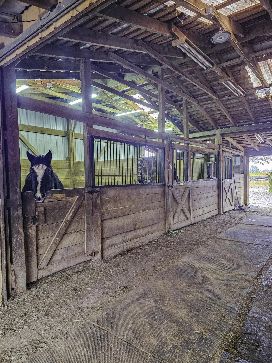 587 Bunker Hill Mill Rd - Photo 55