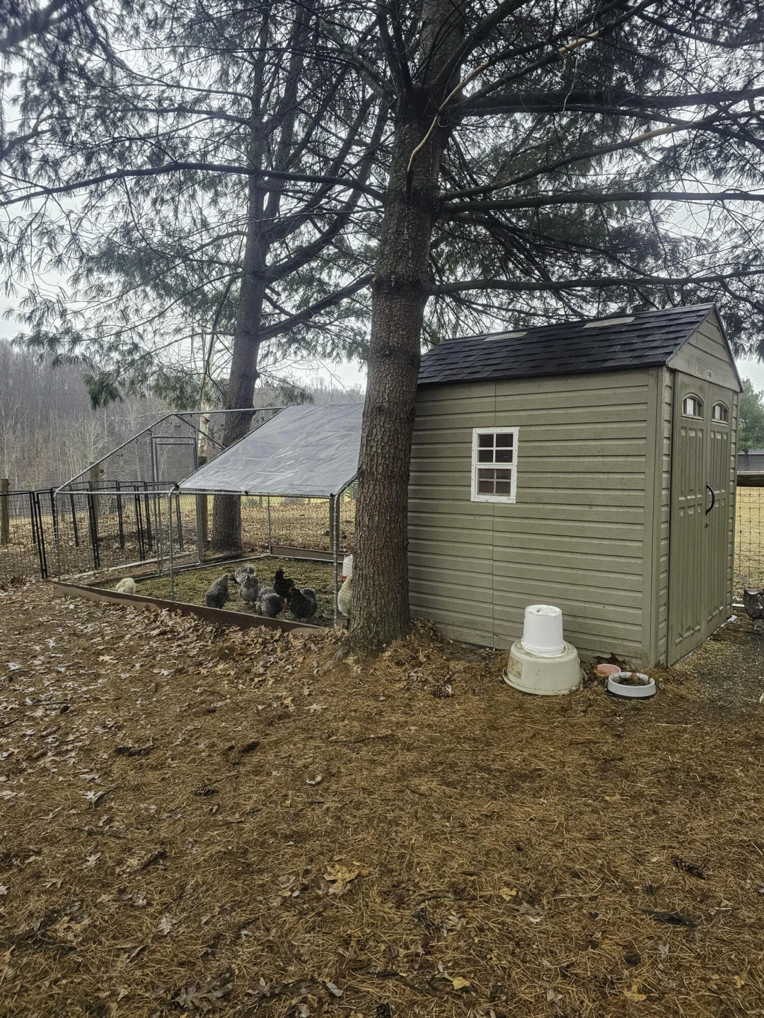 587 Bunker Hill Mill Rd - Photo 63