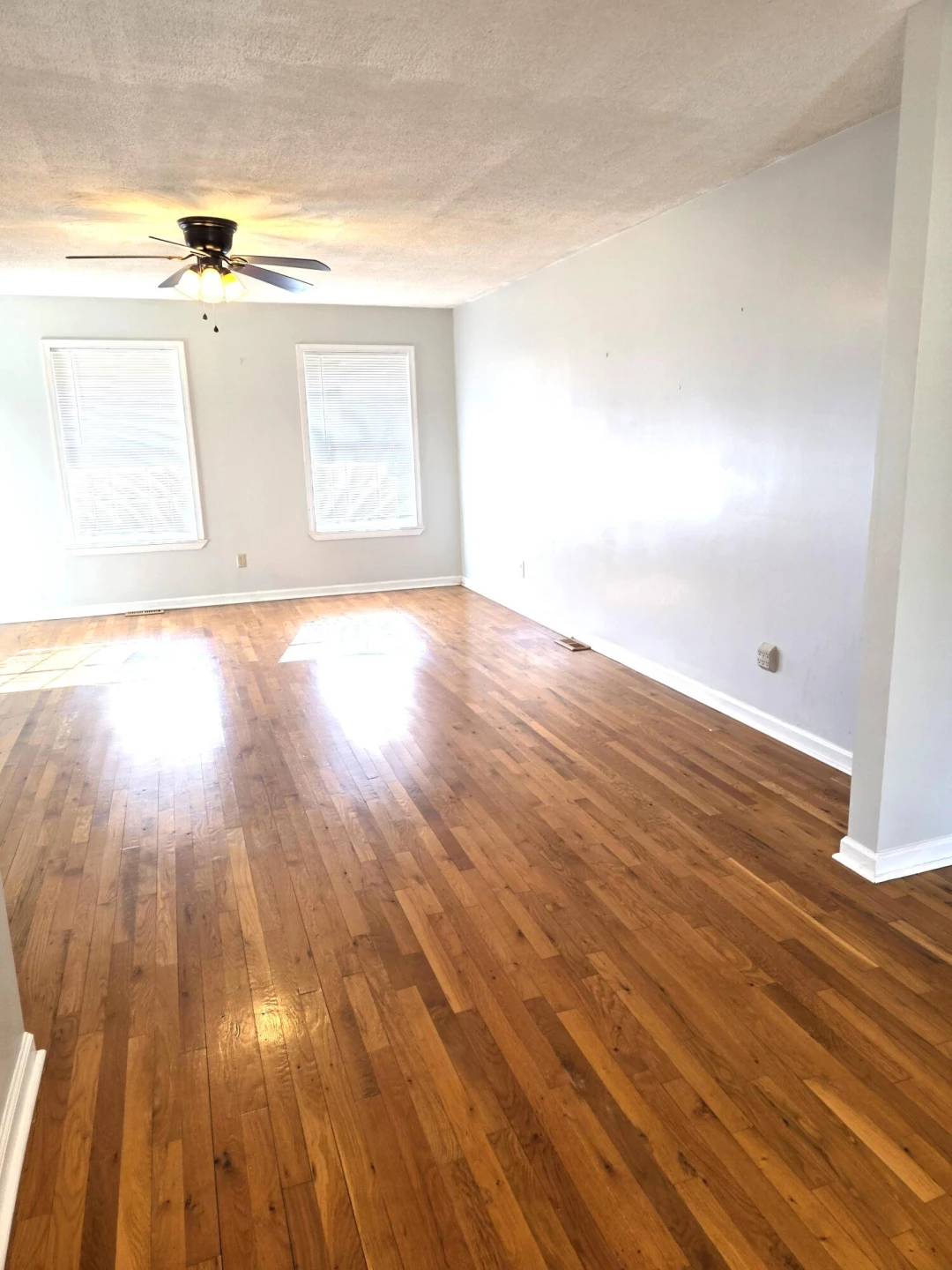 305 Back Draft Rd - Photo 10