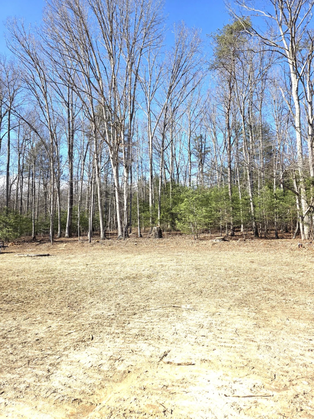 305 Back Draft Rd - Photo 6