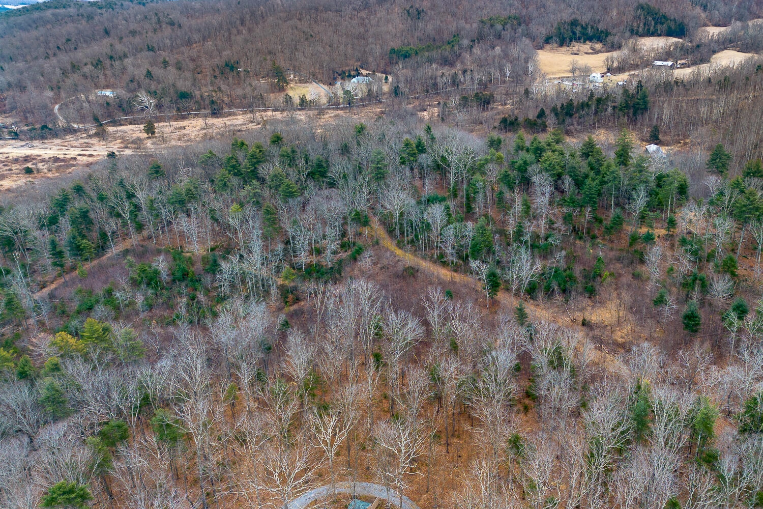TBD Owl Ln - Photo 3