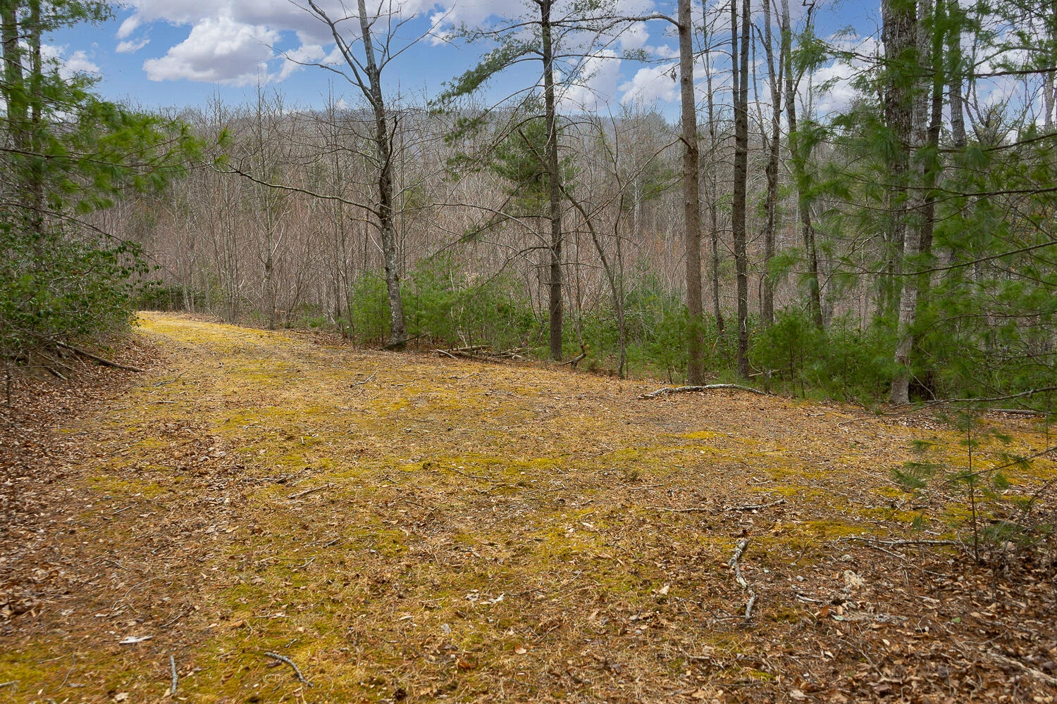 TBD Owl Ln - Photo 5