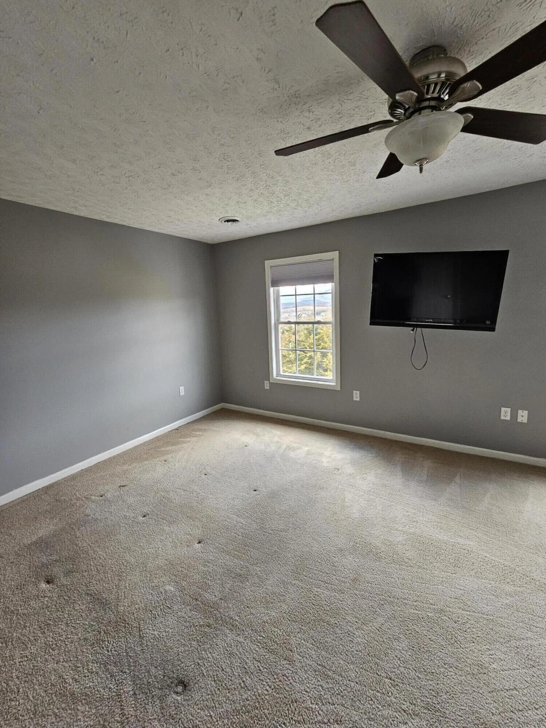 66 Pinnacle Ln - Photo 4