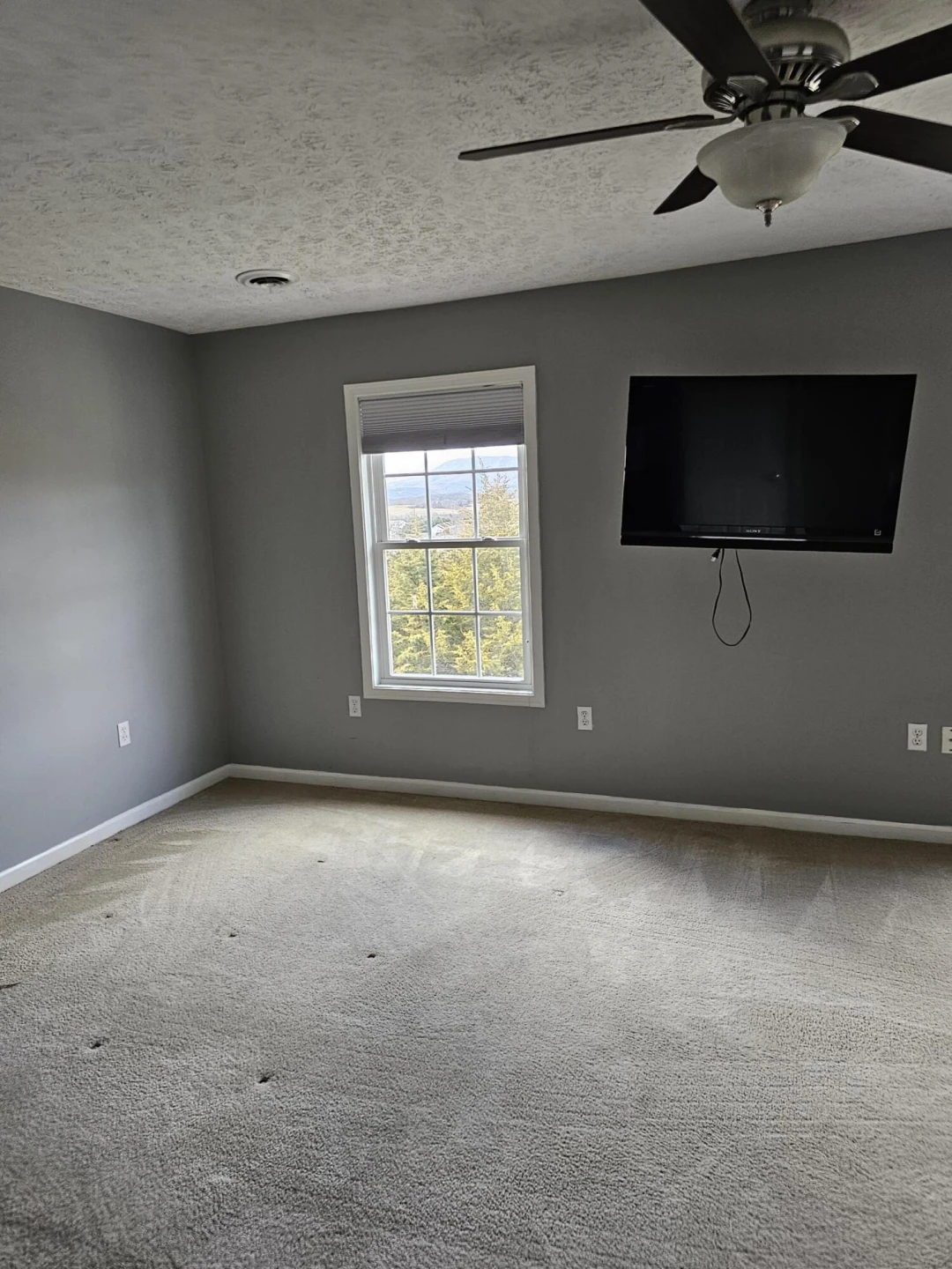 66 Pinnacle Ln - Photo 7