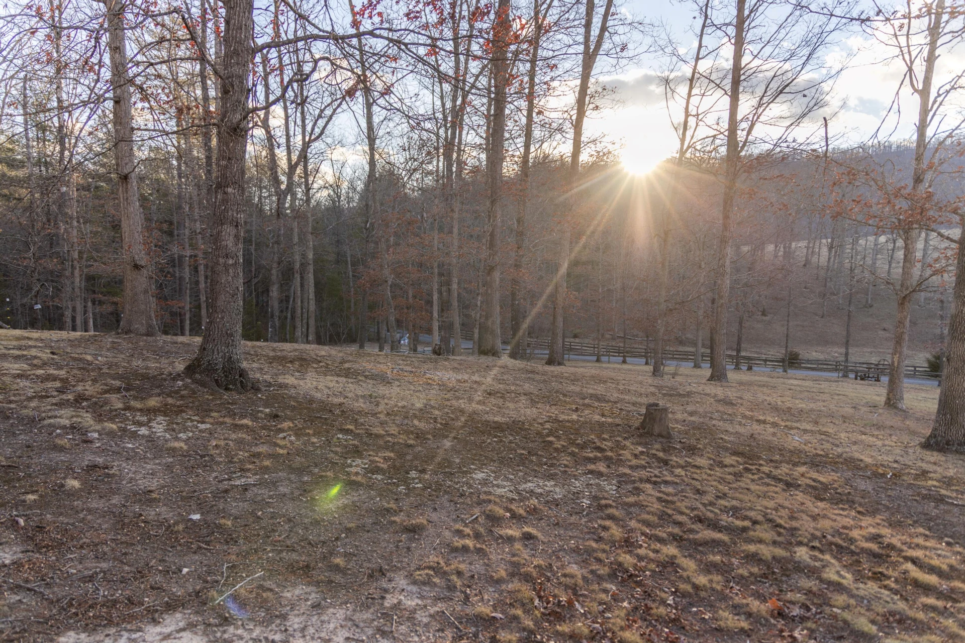 701 Wolfe Rd - Photo 10