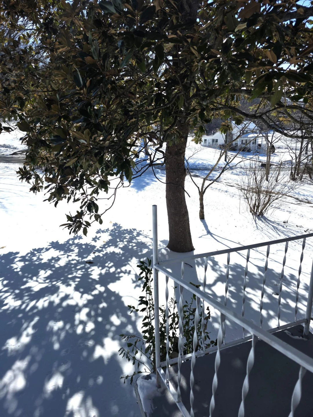 2825 Borden Grant Trl - Photo 2