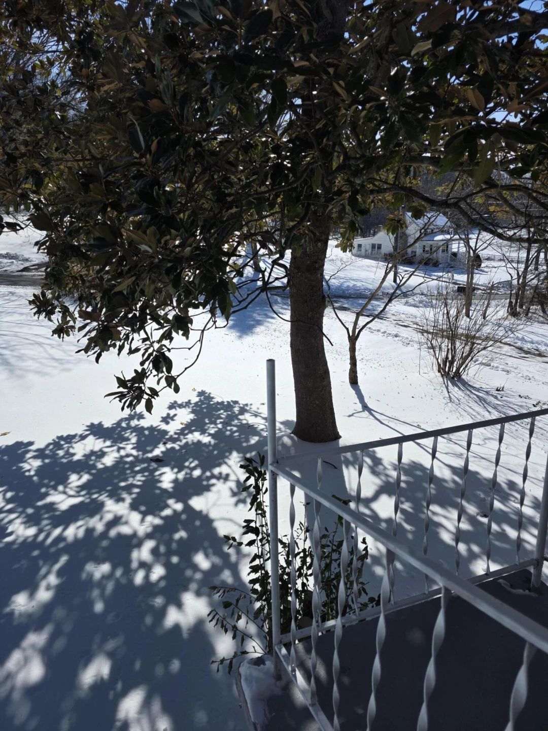 2825 Borden Grant Trl - Photo 26