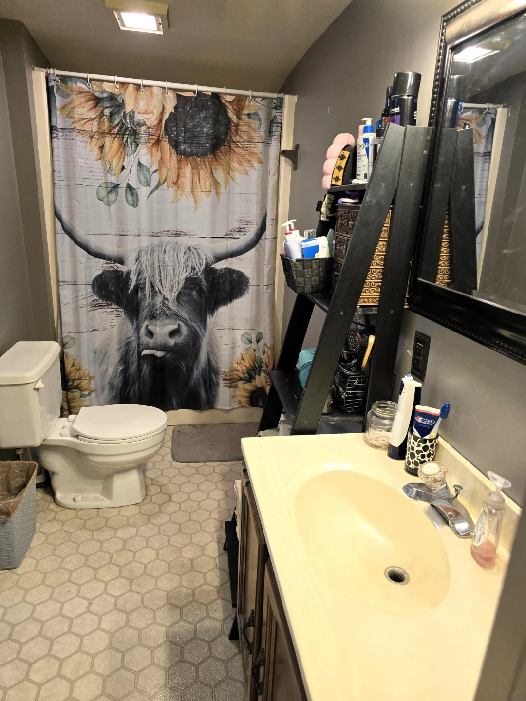 44 Swink Ln - Photo 27