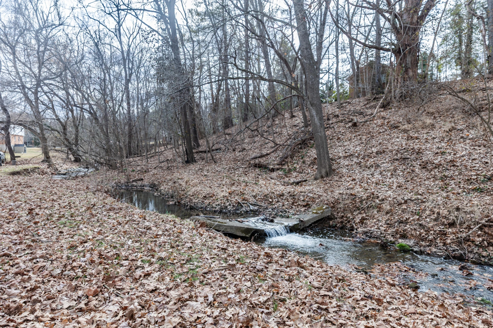 713 Thornhill Rd - Photo 6