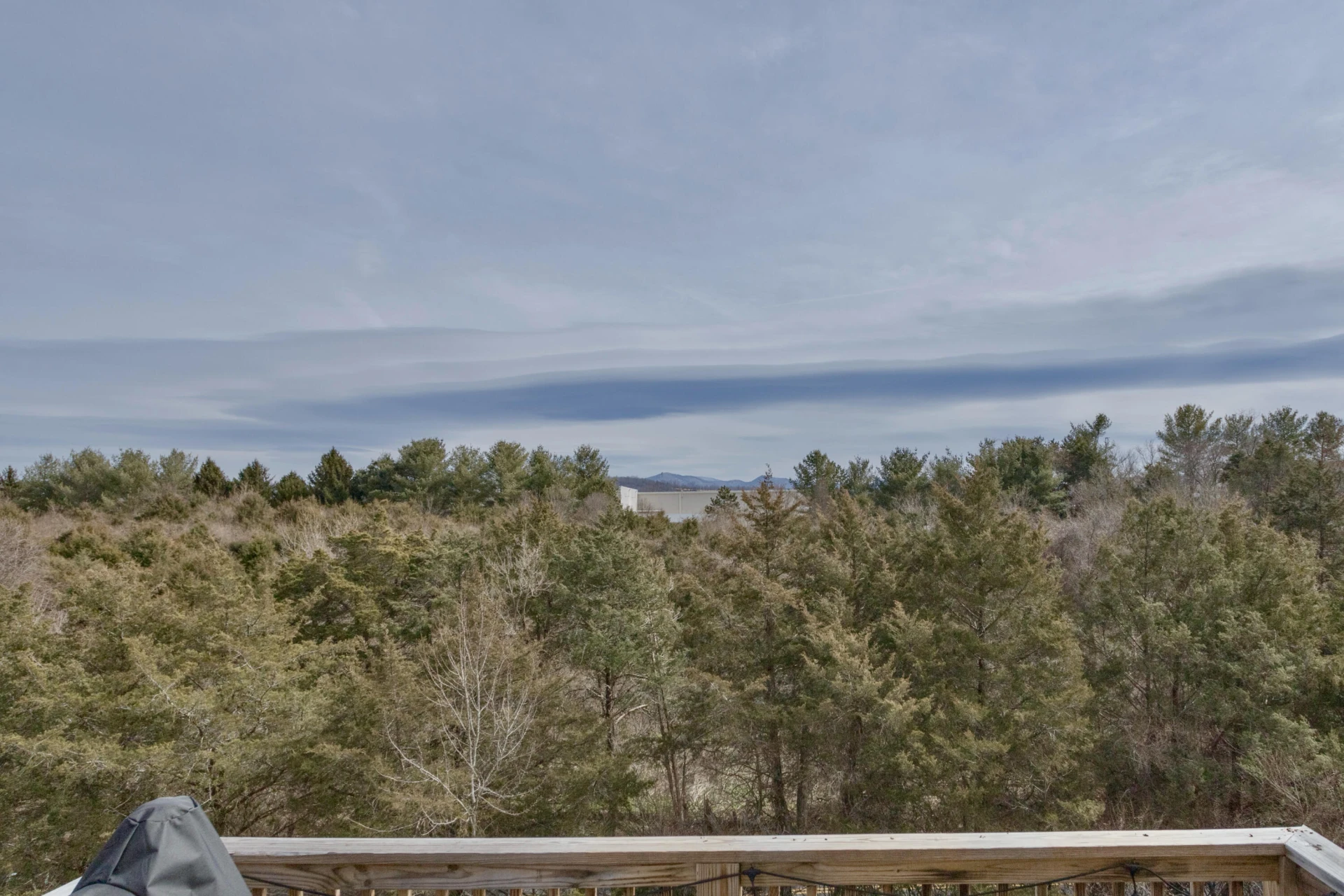 65 Triple Crown Dr - Photo 11