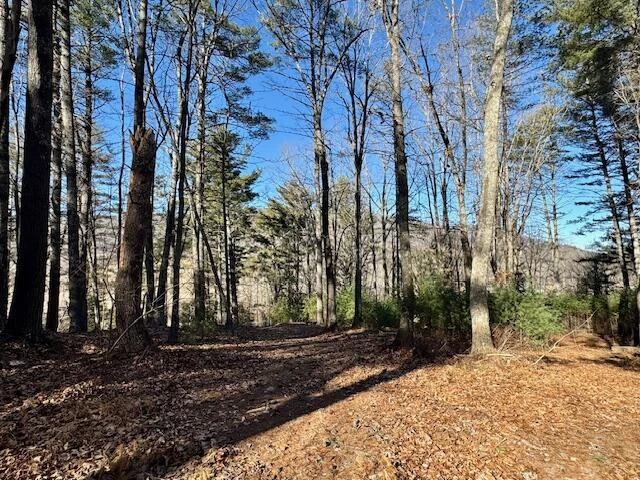 4134 Mill Creek Rd - Photo 41