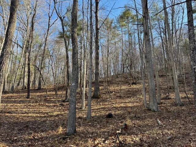 4134 Mill Creek Rd - Photo 42