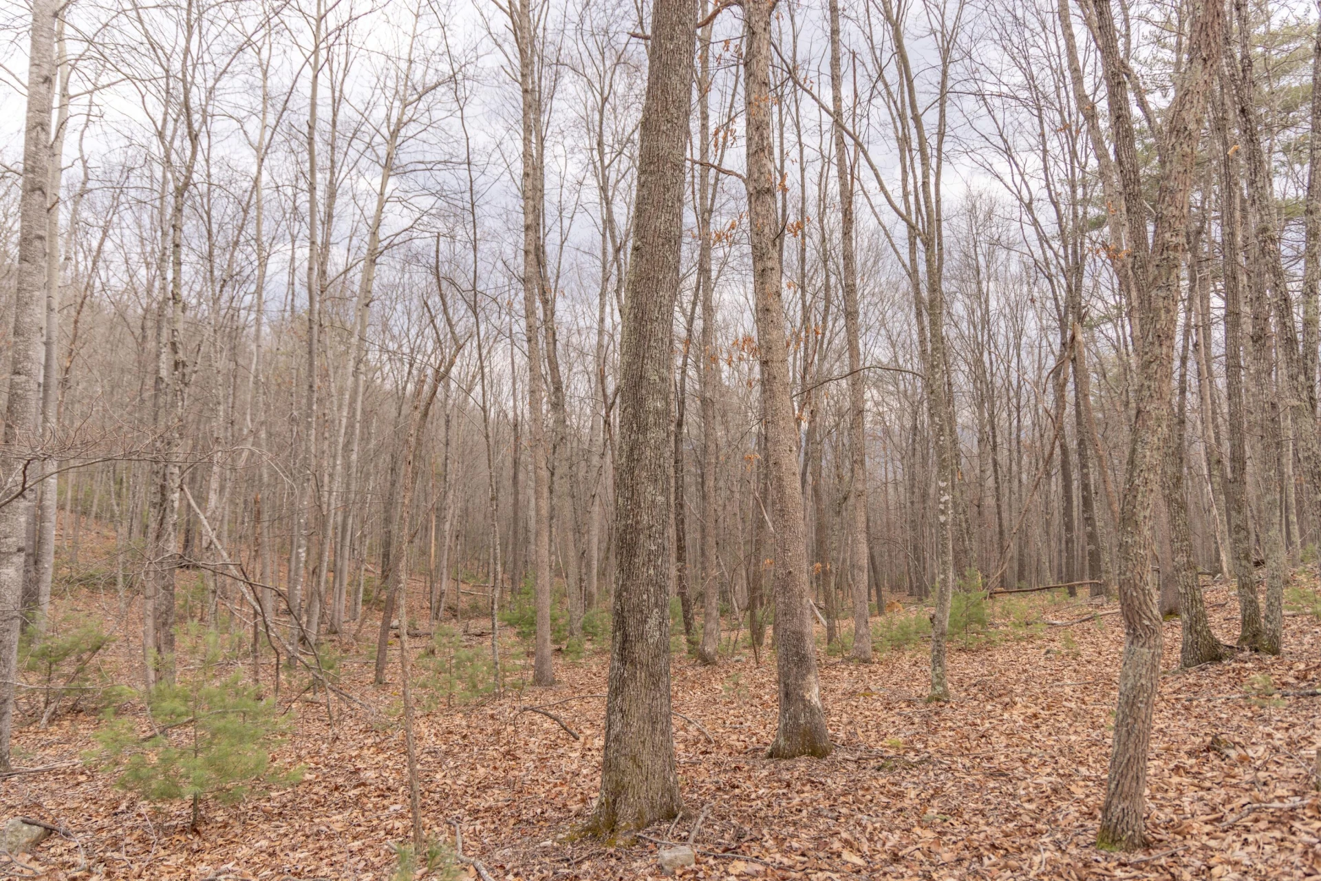 0 Bennettown Rd - Photo 11