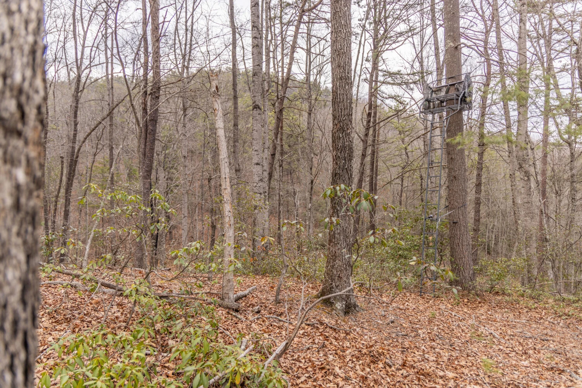 0 Bennettown Rd - Photo 15