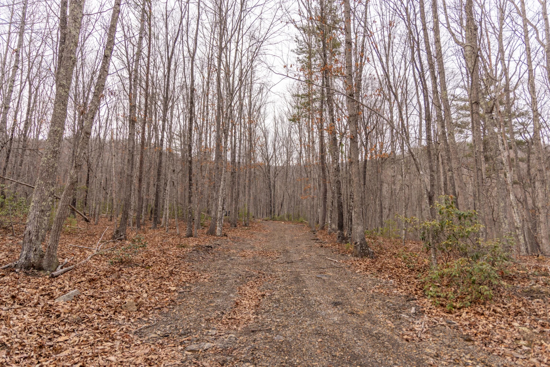 0 Bennettown Rd - Photo 16