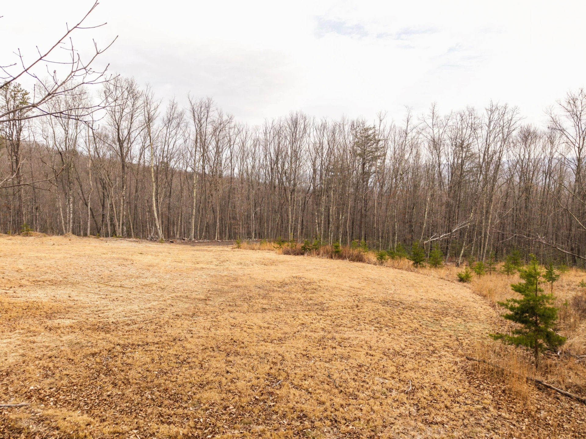 0 Bennettown Rd - Photo 22