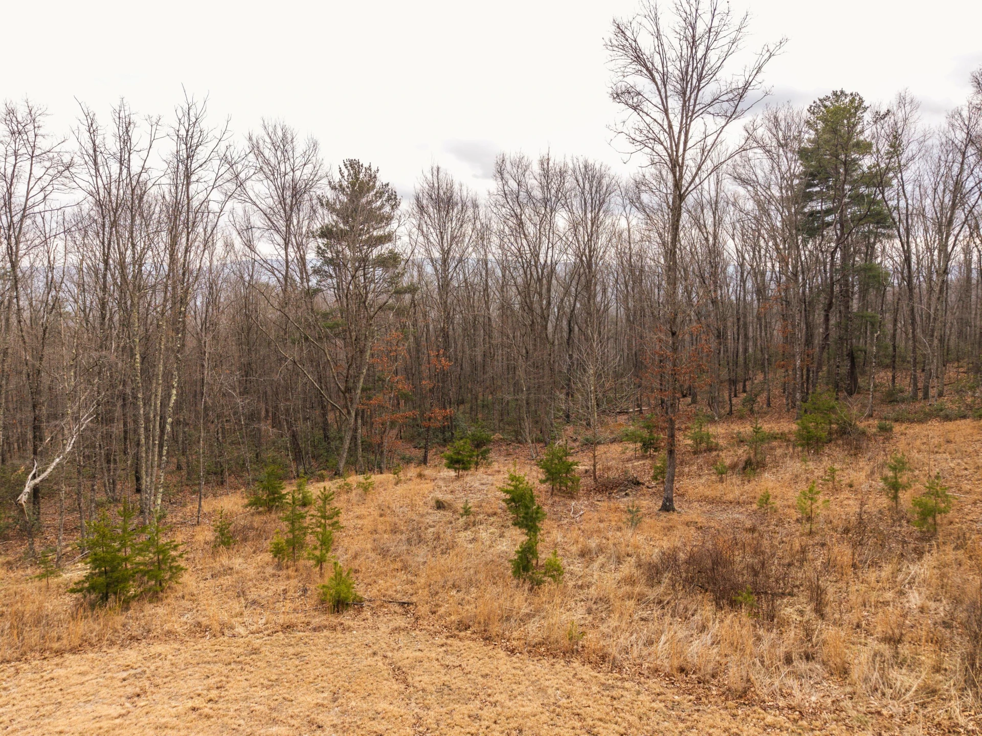 0 Bennettown Rd - Photo 24