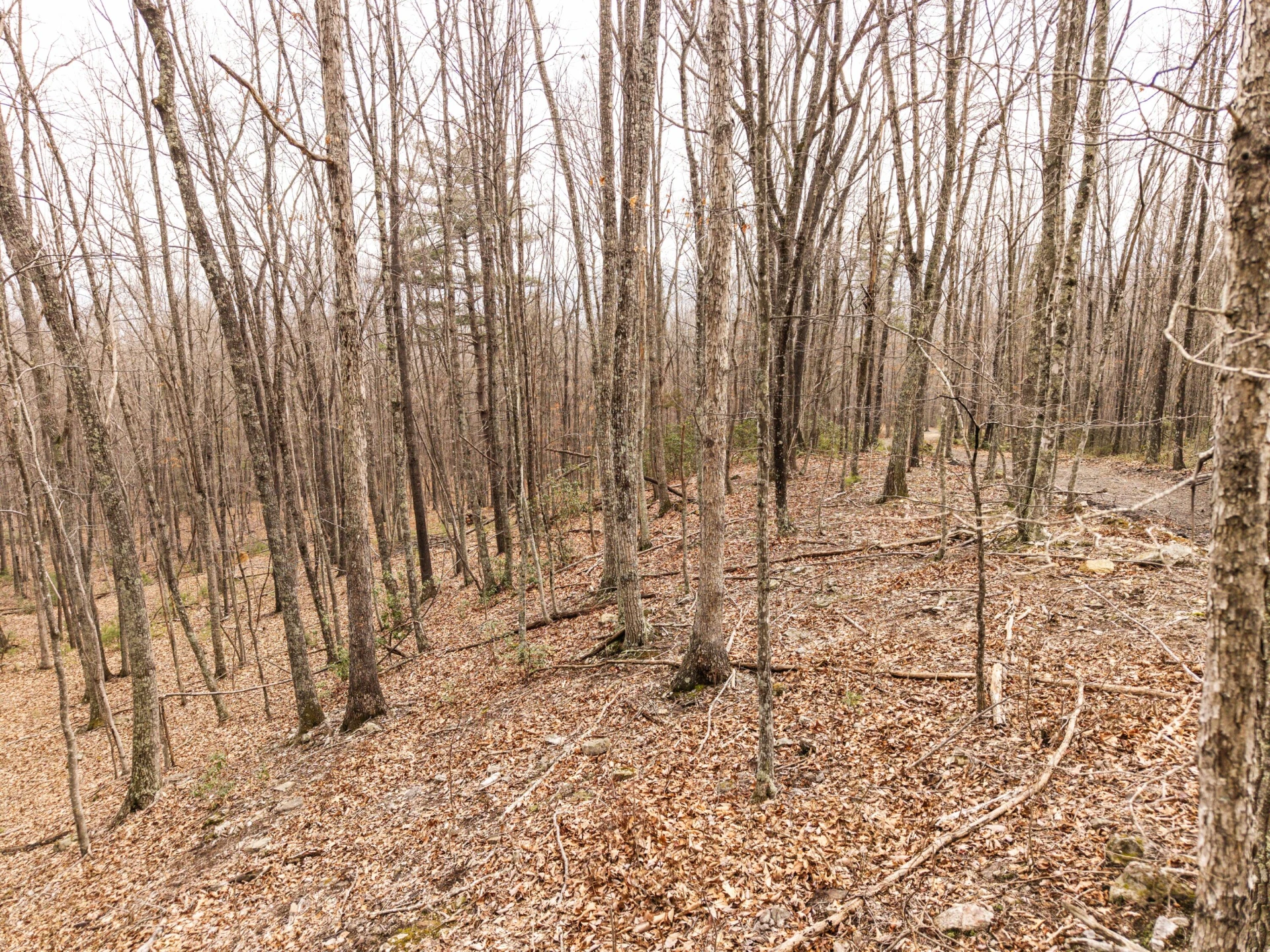 0 Bennettown Rd - Photo 34