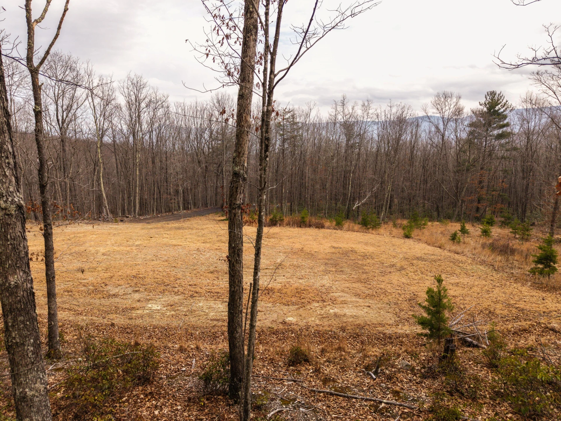 0 Bennettown Rd - Photo 5