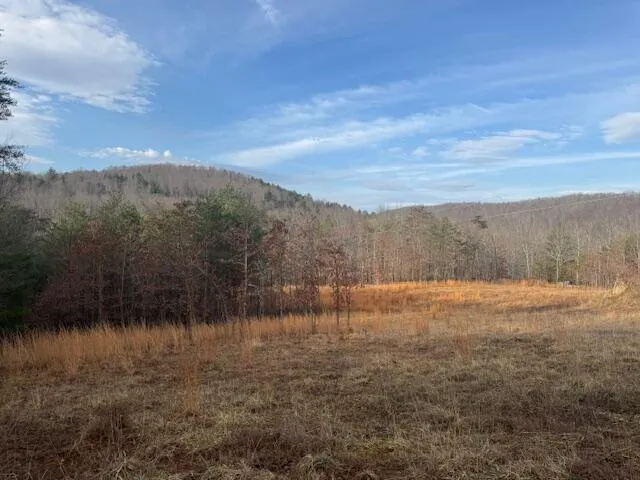 TBD Little River Rd, Goshen, VA, 24439