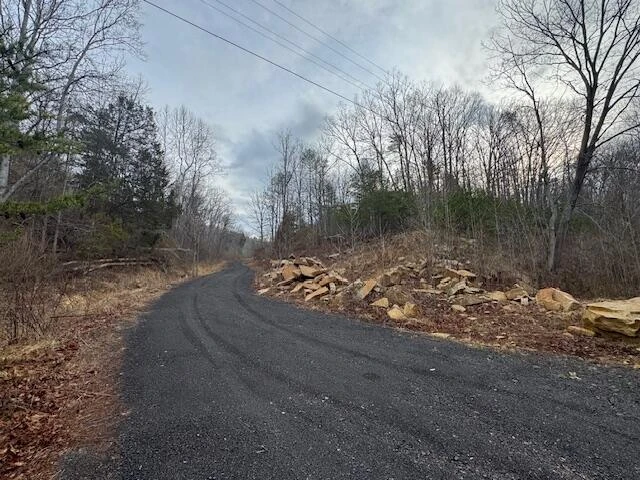 TBD Little River Rd - Photo 10