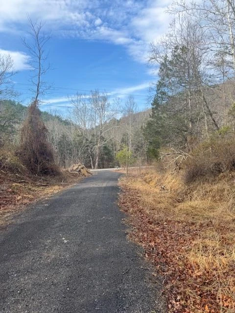 TBD Little River Rd - Photo 11