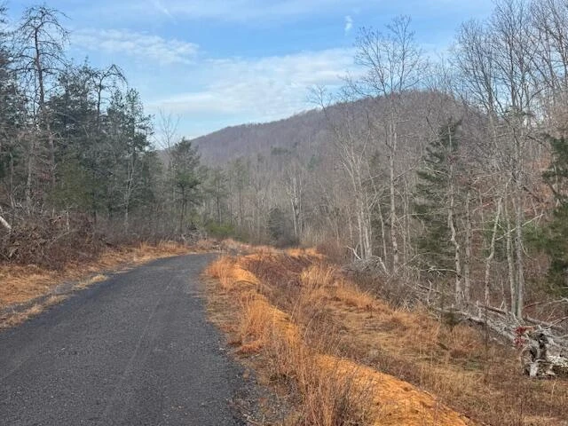 TBD Little River Rd - Photo 12