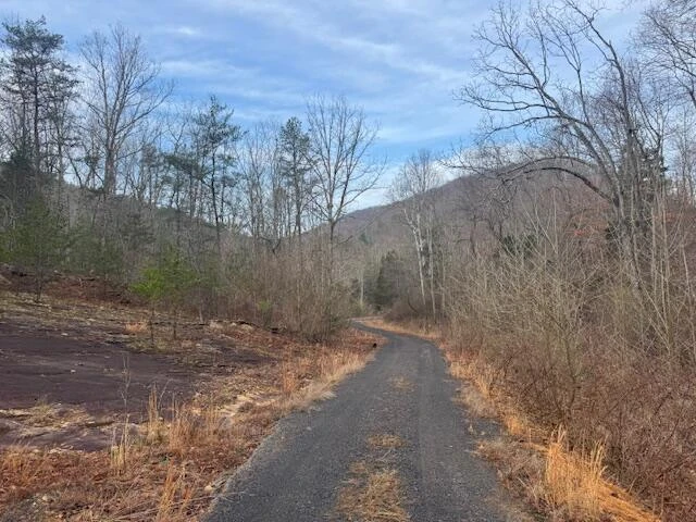 TBD Little River Rd - Photo 13