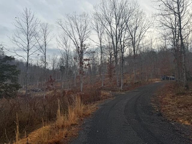 TBD Little River Rd - Photo 14