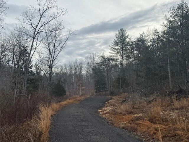 TBD Little River Rd - Photo 15
