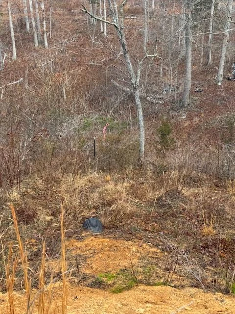 TBD Little River Rd - Photo 16