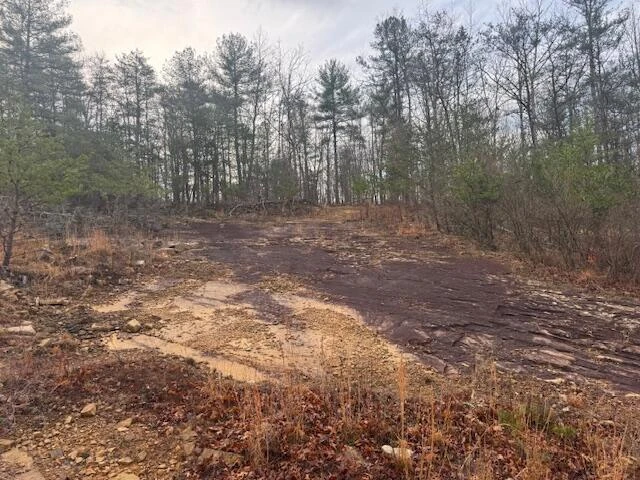 TBD Little River Rd - Photo 17