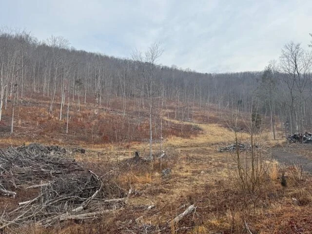 TBD Little River Rd - Photo 19