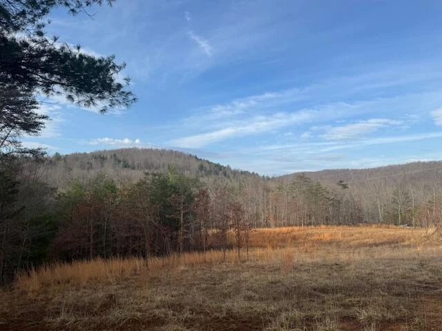 TBD Little River Rd - Photo 2