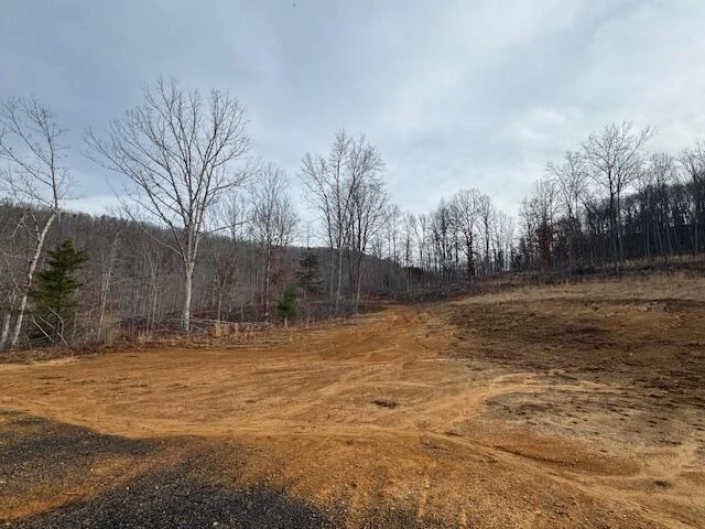 TBD Little River Rd - Photo 20
